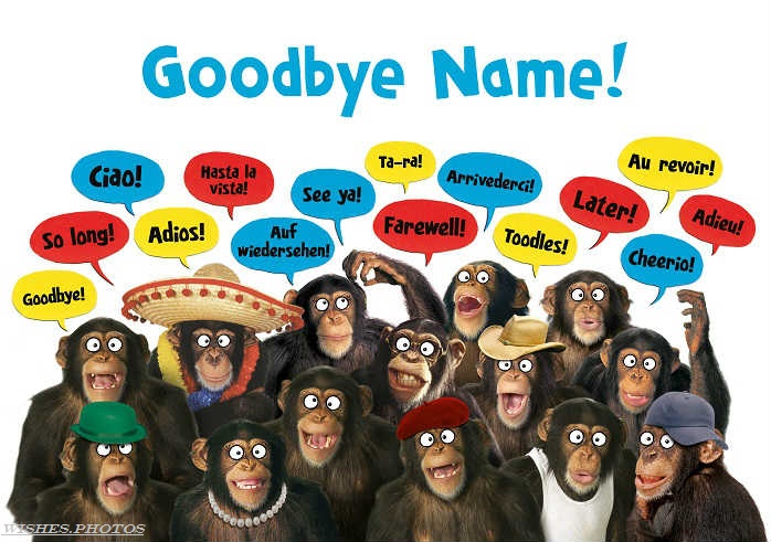 Monkeys_Goodbye_Card-funny-Farewell-Wishes