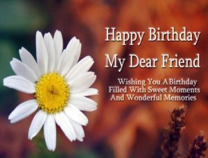 happy birthday my dear friend