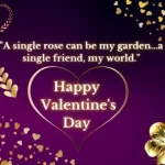 A single rose can be my garden single friend, my world.....,, Happy Valentine's Day