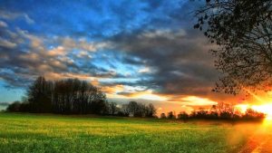 Free nature wallpapers hd