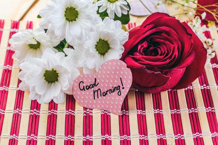 Good-morning-wishes-with-roses