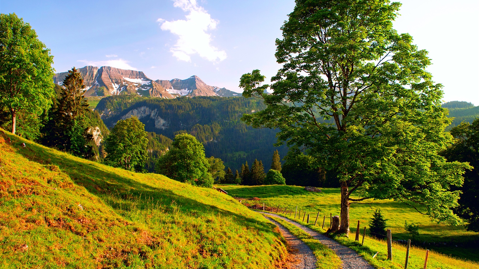 Switzerland-summer-landscape-mountains-road-trees