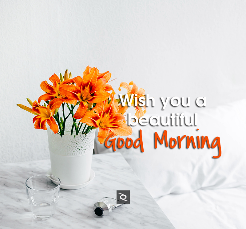 Wish you a beautiful Good Morning