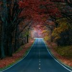 autumn-road-wallpapers