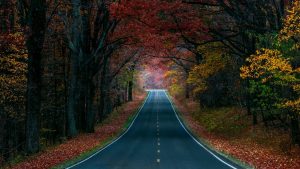 autumn-road-wallpapers