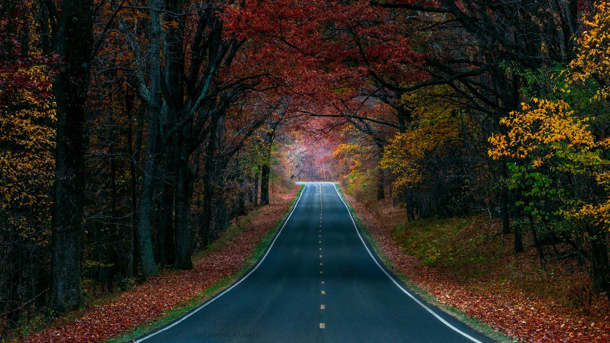 autumn-road-wallpapers