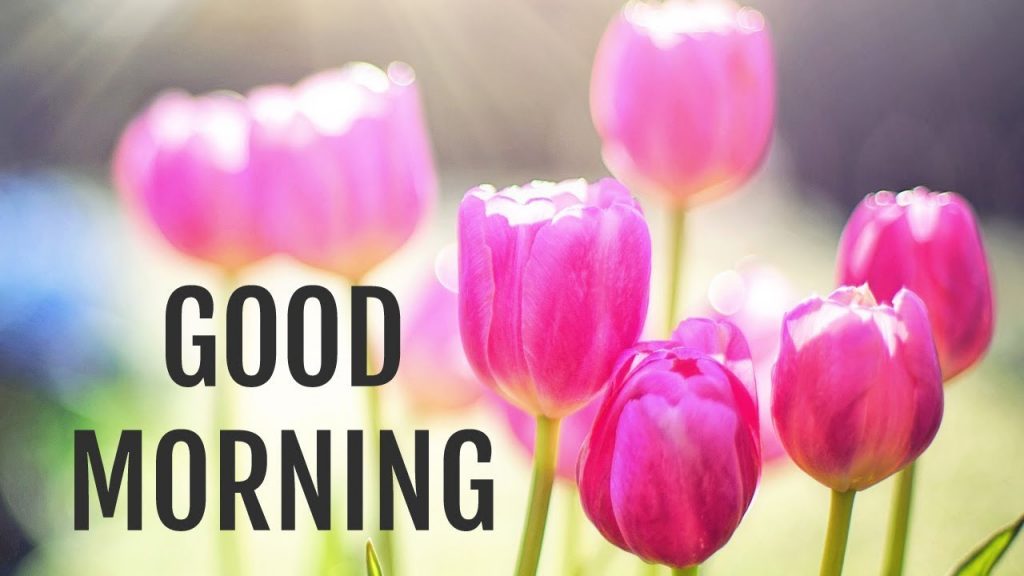 30+ Sweet Good Morning Wishes Images Free Download