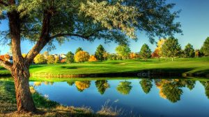 Golfing Landscape Nature Green Grass Free Desktop Wallpaper