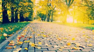 nature wallpapers hd