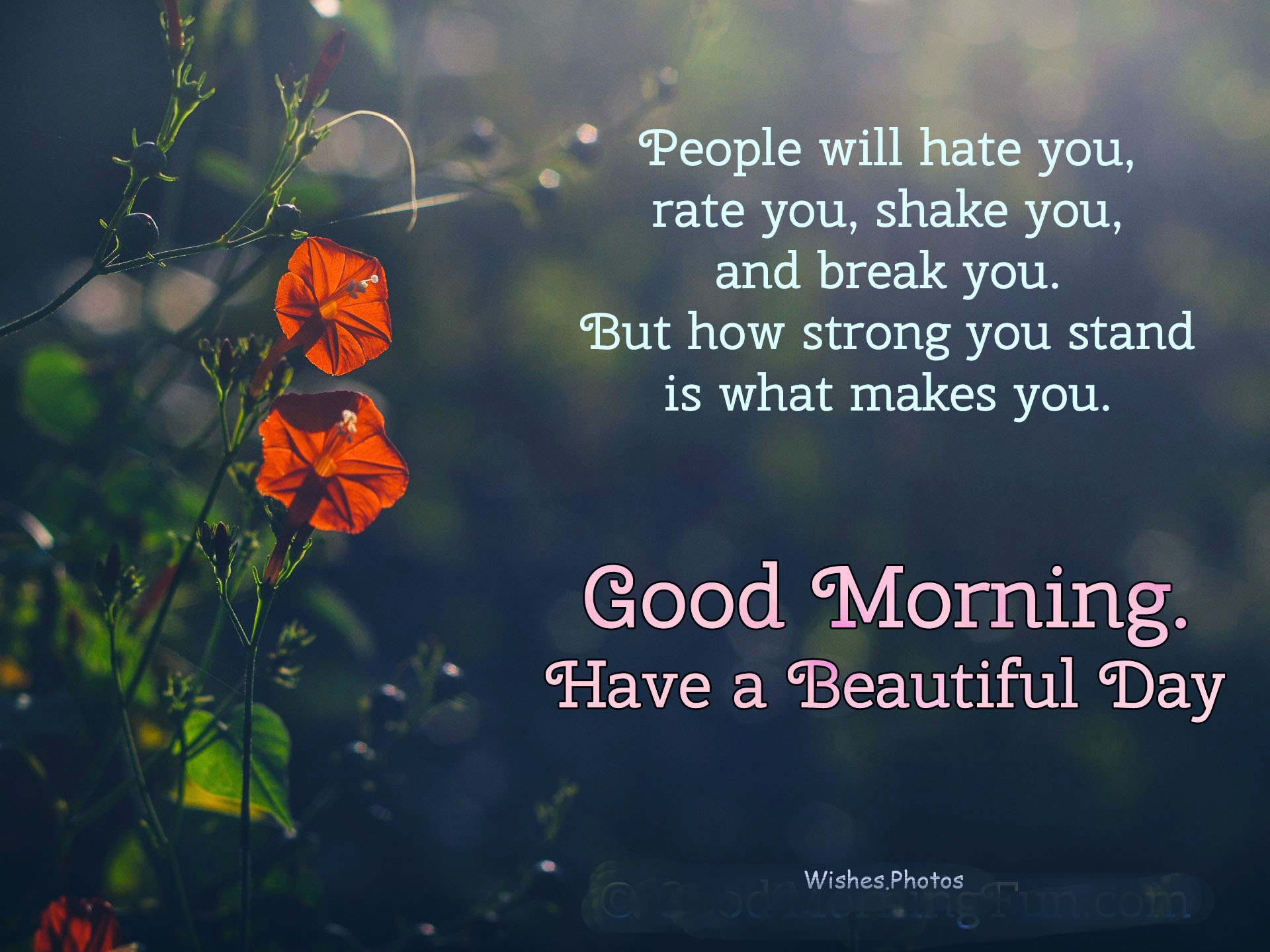 √ Good Morning Quotes Hd Pic