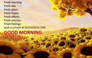 good morning images with quotes hd Wish u a fresh and successful day good morning images with quotes hd - Wish u a fresh and successful day