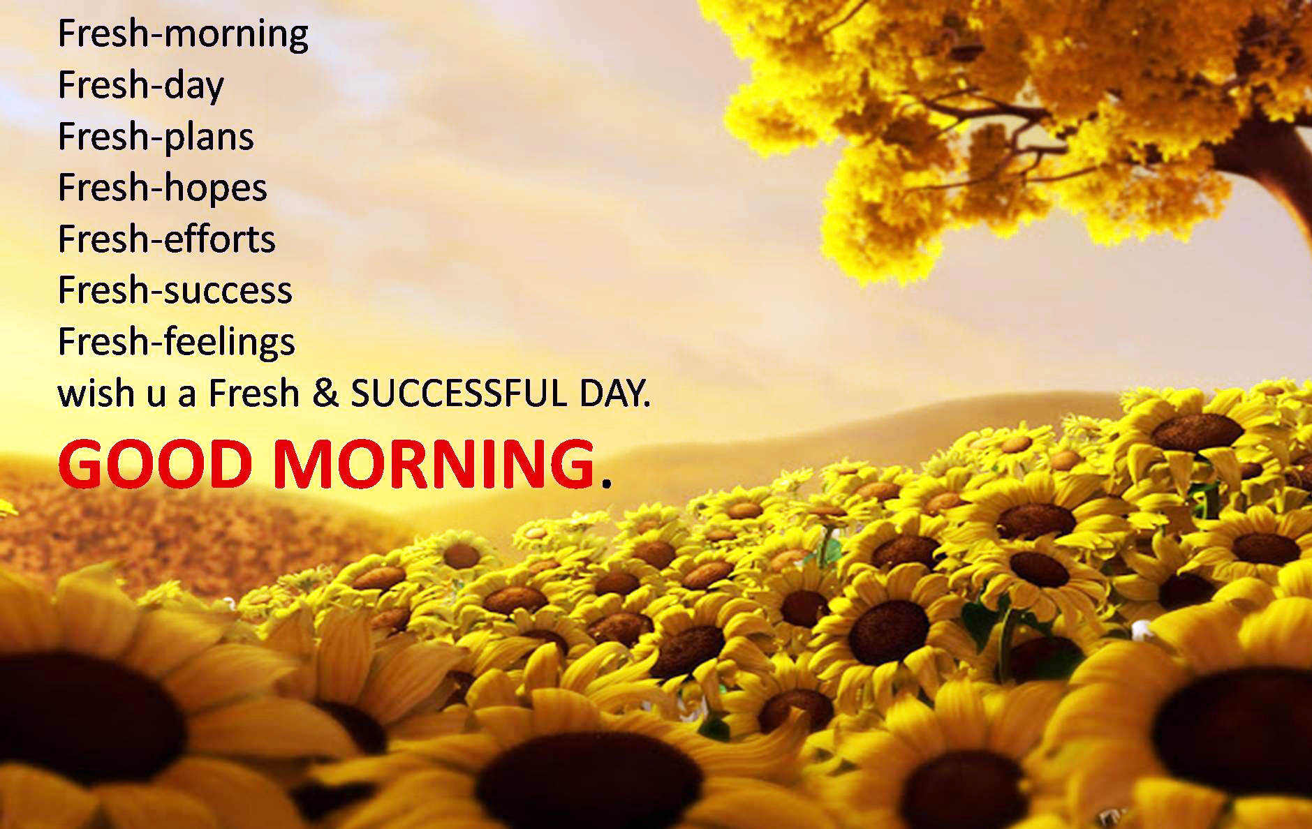 good morning images with quotes hd - Wish u a fresh and successful day