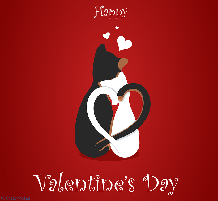 Valentine Day Images