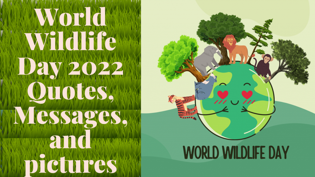 world wildlife day 2022 quotes, messages, and pictures