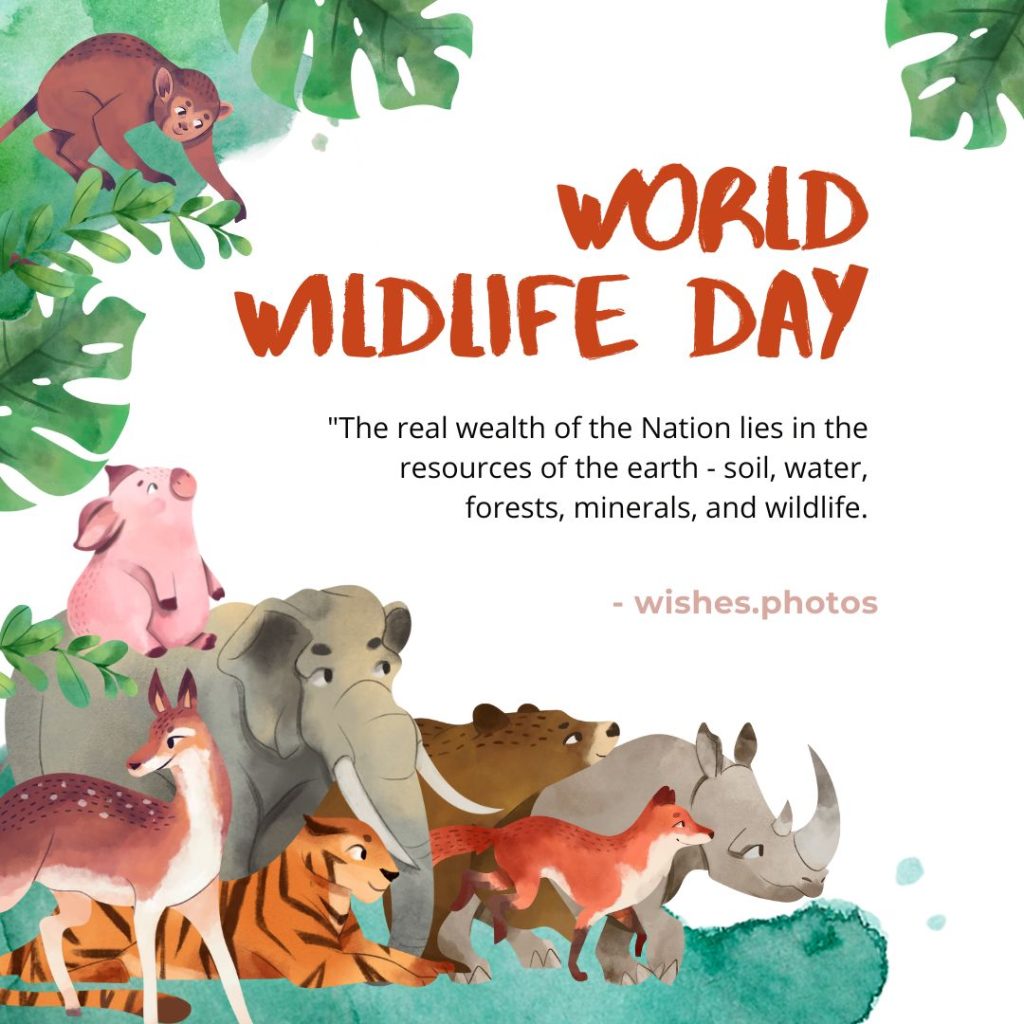 World Wildlife Day wishes image