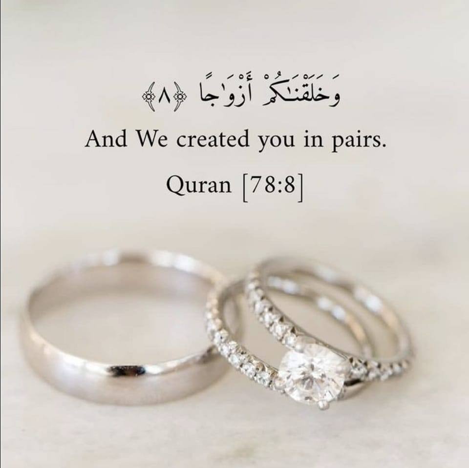 And we created you in pair Quran 78 8