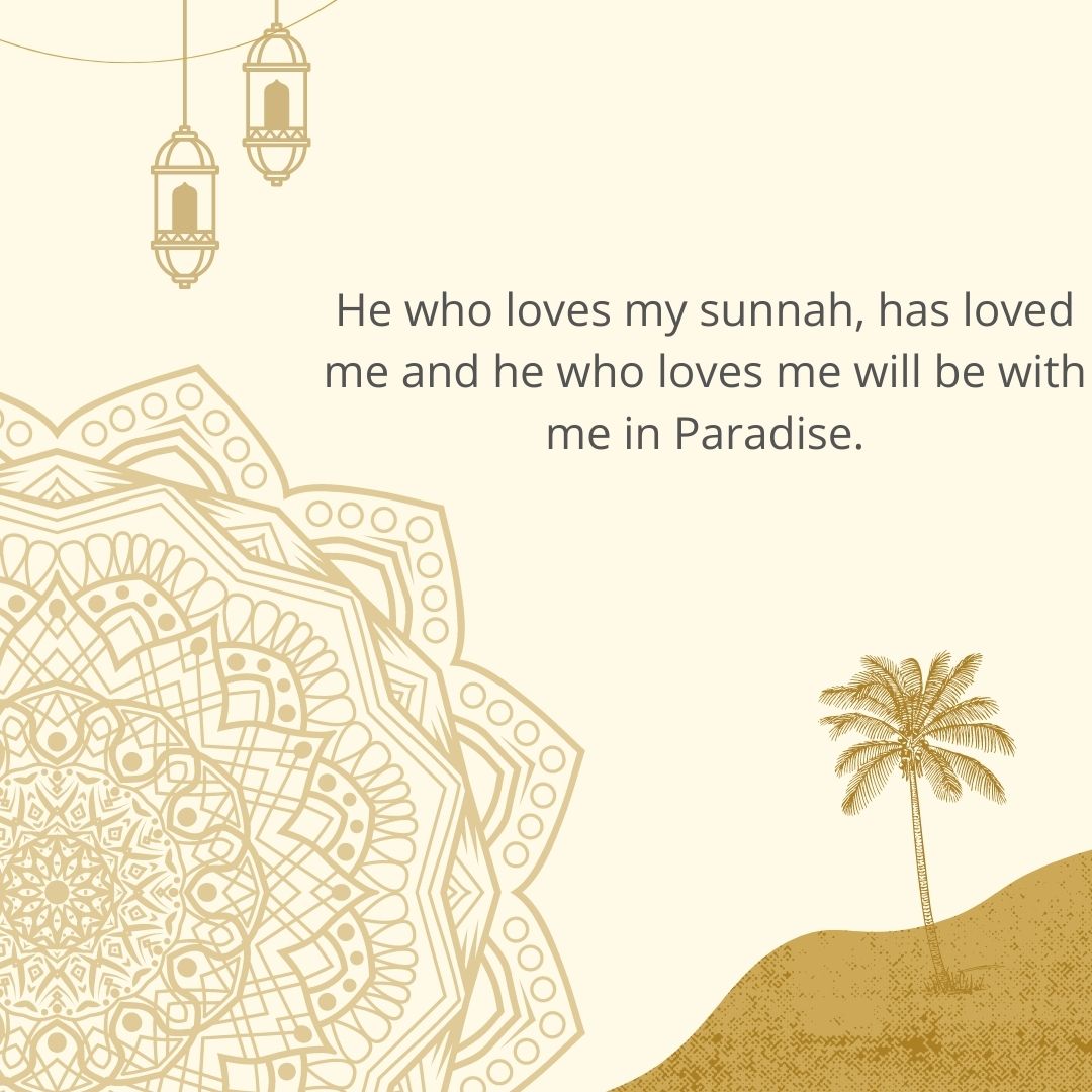 he who loves my sunnah, has loved me and he who loves me will be with me in paradise