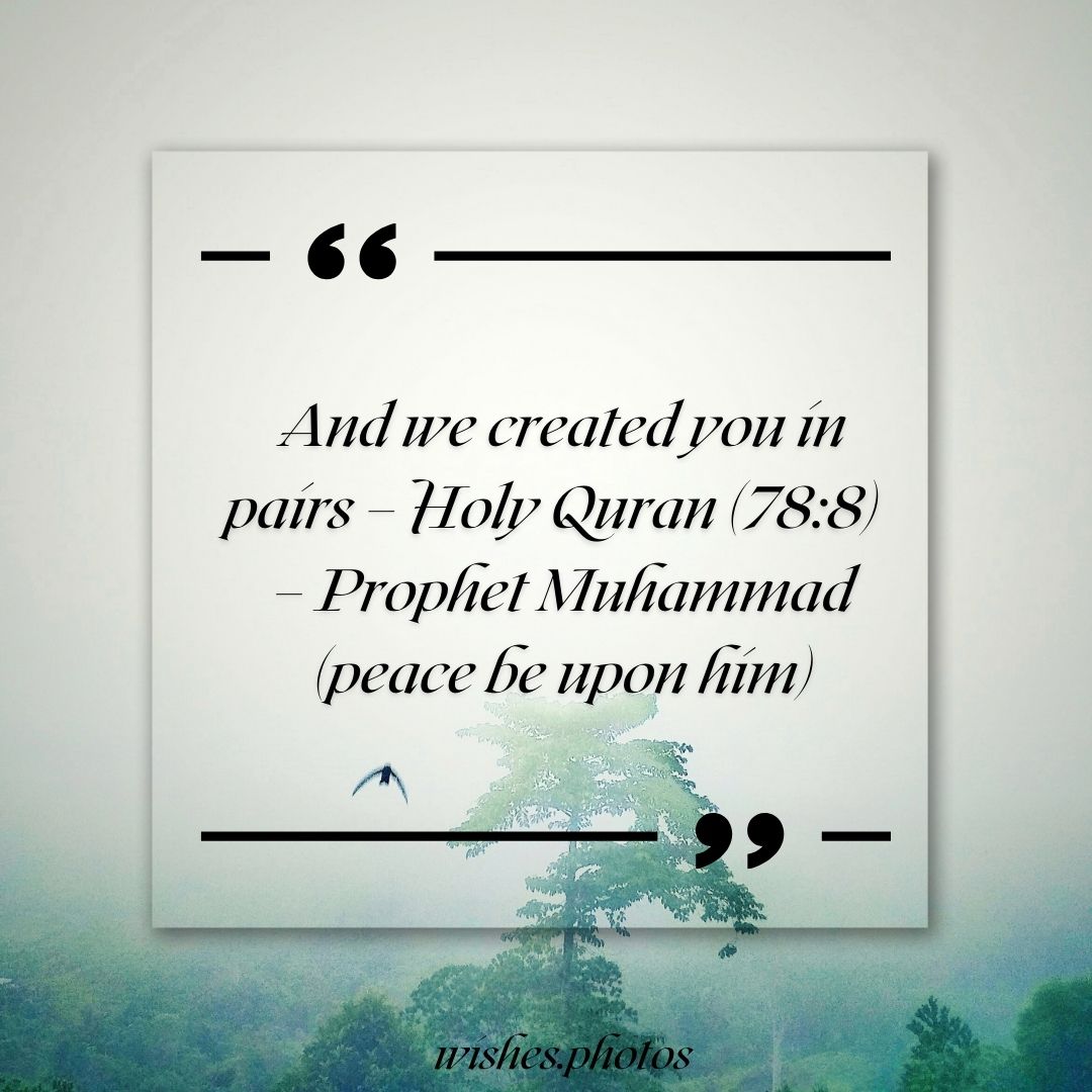 And we created you in pairs – Holy Quran (78:8)