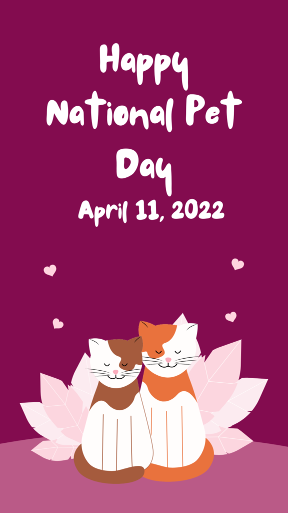 happy-national-pet-day-wishes-images-for-the-instagram-story-2025