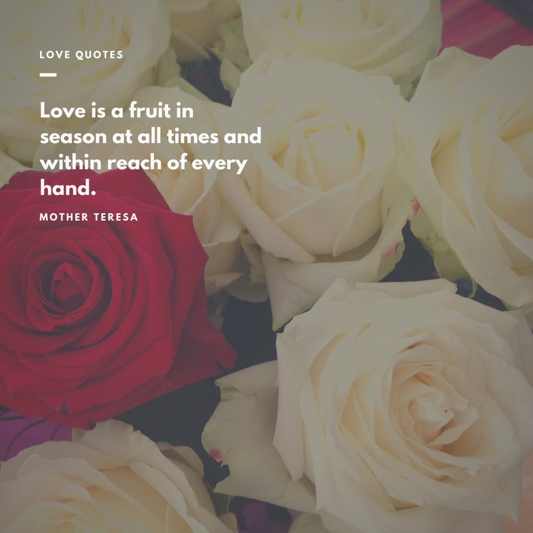 best love quotes images for facebook or instagram posts (18)