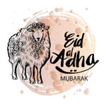 eid al adha hand lettering with goat illustration for eid mubarak celebration