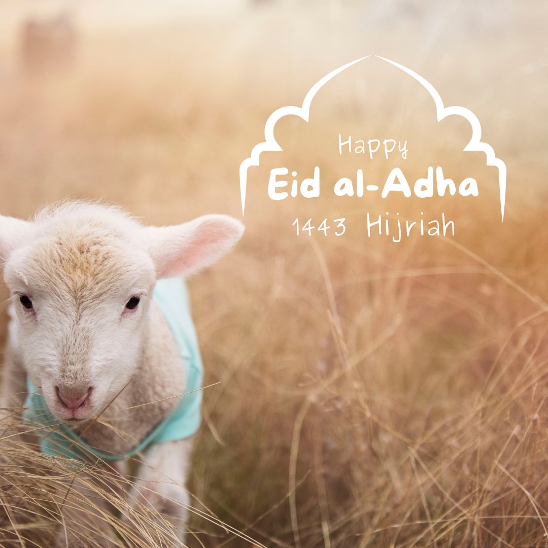 eid ul adha 2022 wishes images (10)