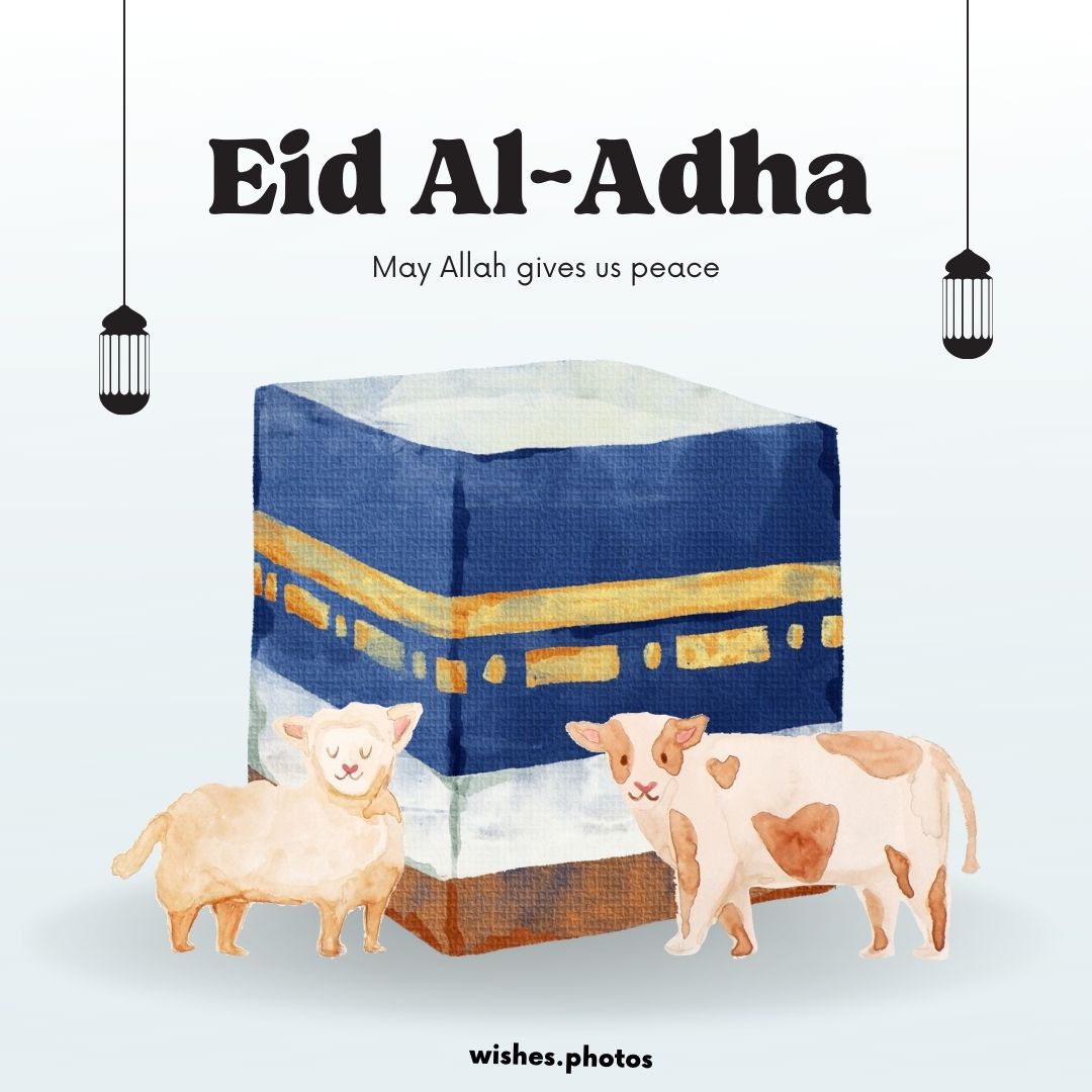 eid ul adha 2022 wishes images (30)