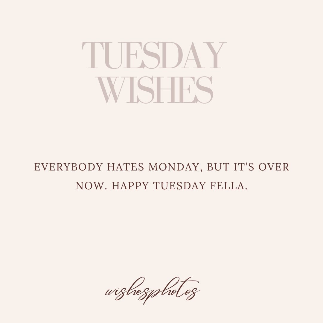 everybody hates monday, but it’s over now happy tuesday fella