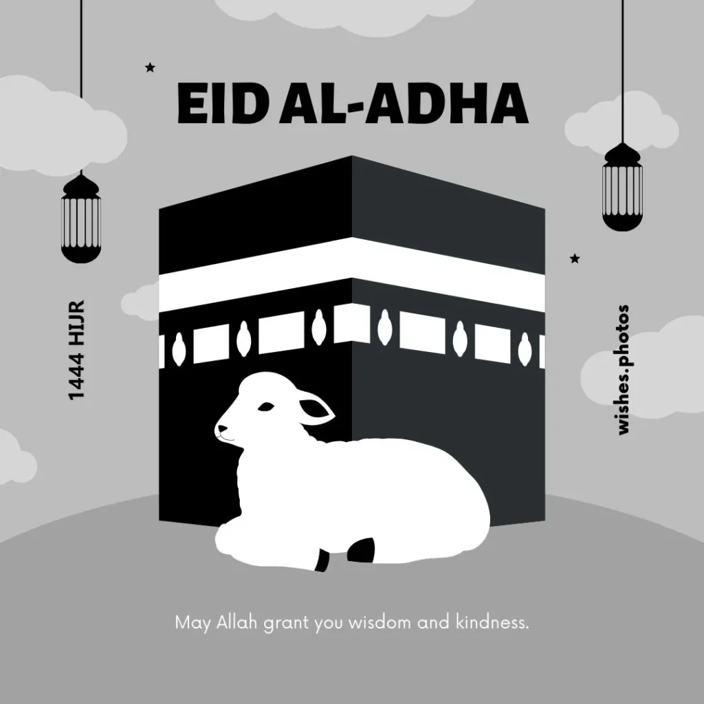 eid ul adha 2023 wishes images (May Allah grand you wisdom and kindness)