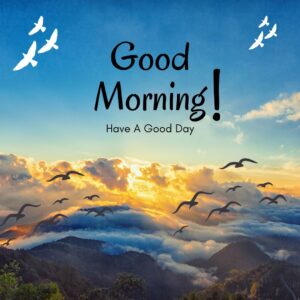 45+ Beautiful Good Morning Pics To Wish Everyone - 2023