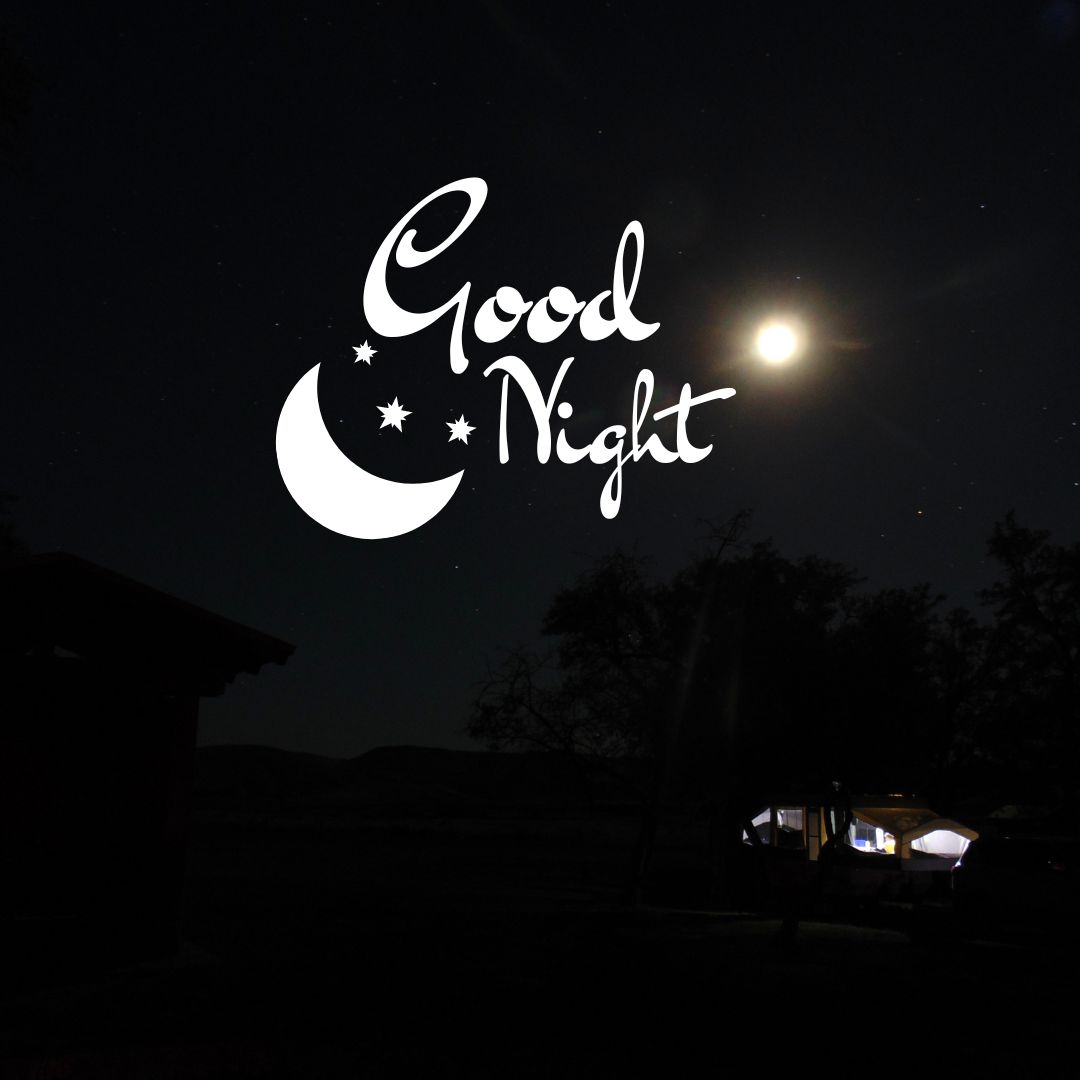 199+ Cute Good Night Messages For Someone Special - 2024