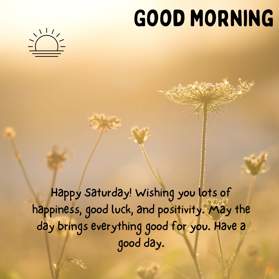 happy saturday! wishing you lots of happiness, good luck, and positivity may the day brings everything good for you have a good day