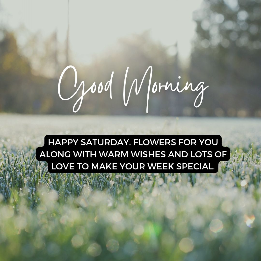 happy saturday flowers for you along with warm wishes and lots of love to make your week special