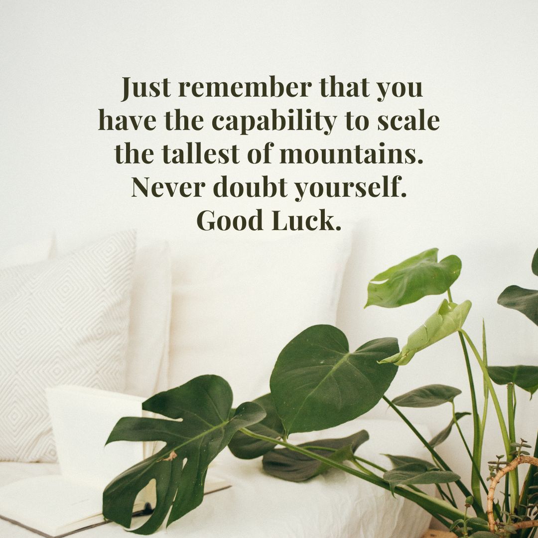 just remember that you have the capability to scale the tallest of mountains never doubt yourself good luck