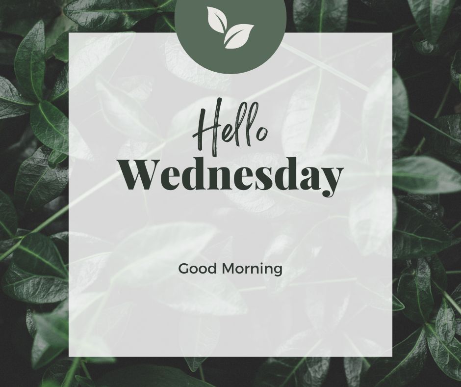 wednesday's good morning wishes images (1)