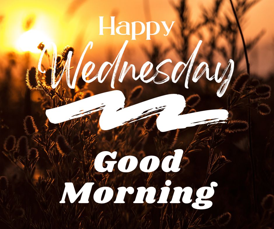 wednesday's good morning wishes images (3)