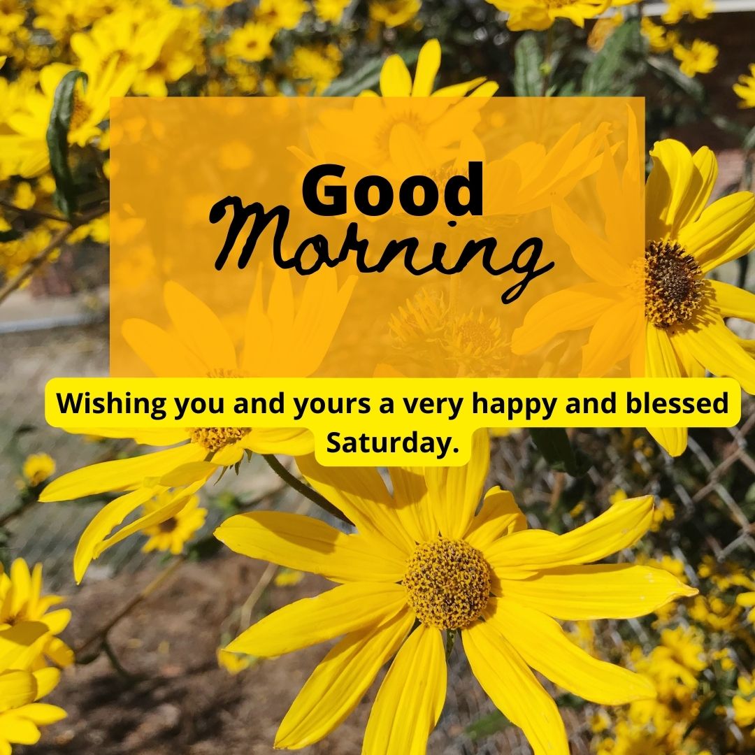 wishing you and yours a very happy and blessed saturday