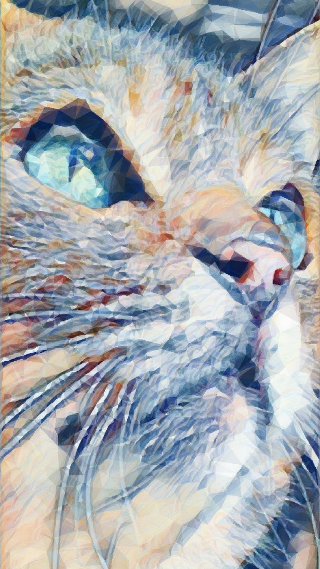 cute cat wallpaper hd for mobile free download (2)