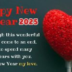 Even though this wonderful year has come to an end, I wish to spend many more years with you. Happy New Year my love