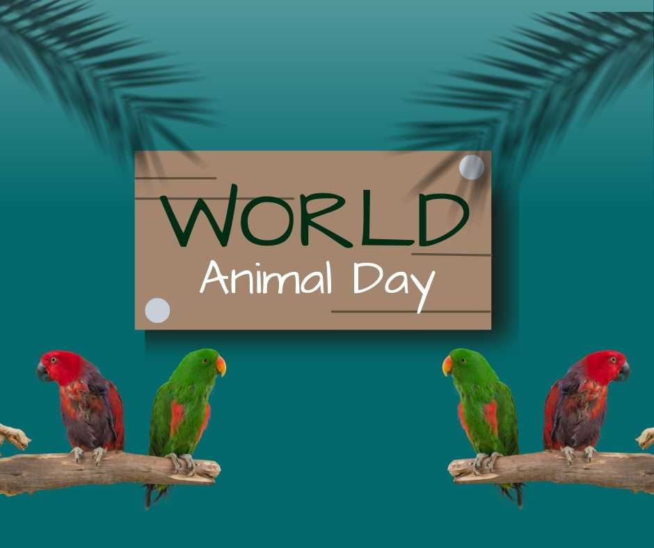 happy world animal day images (1)