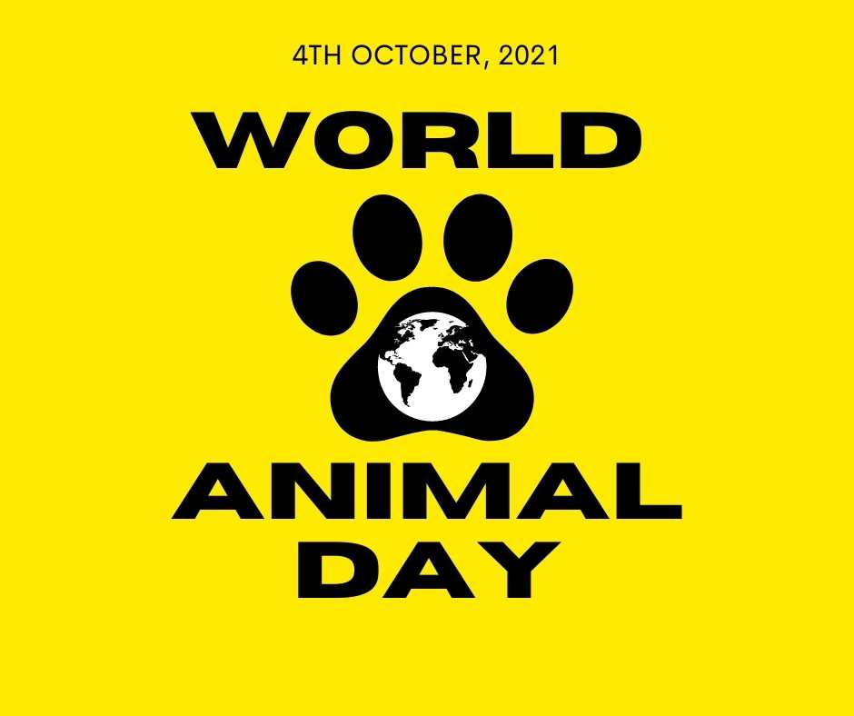 Happy World Animal Day Images (3) Wishes.Photos
