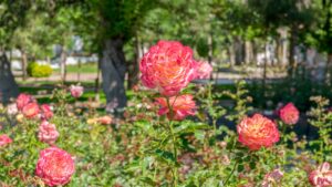 Hd wallpapers for laptop or desktop hd wallpapers for laptop or desktop