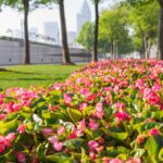 Hd wallpapers for laptop or pc hd wallpapers for laptop or pc