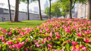 hd wallpapers for laptop or pc