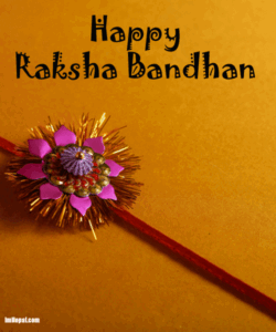 Raksha Bandhan Gif Raksha Bandhan Wishes 6 raksha bandhan gif, raksha bandhan wishes (6)