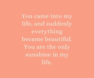 you came into my life, and suddenly everything became beautiful you are the only sunshine in my life
