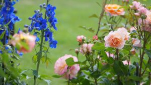 best hd wallpapers for desktop best hd wallpapers for desktop