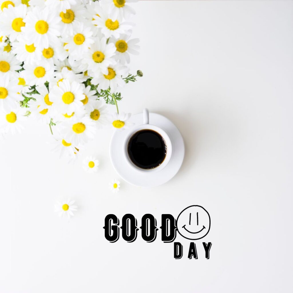 what to reply when someone says good day