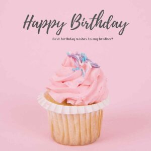 best birthday wishes to my brother!