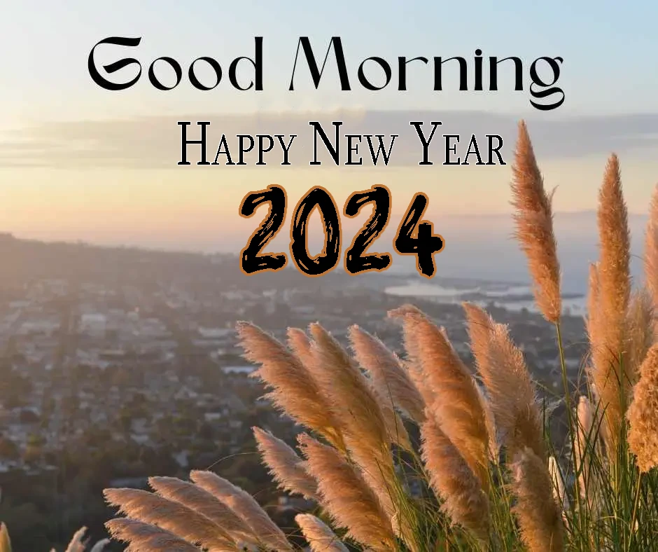 Good Morning Happy New Year 2024 Images 4